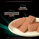 ПАК. Влажный корм для собак Pro Plan Veterinary Diets Gastrointestinal для устранения расстройств пищеварения (24х195 г) - изображение 2