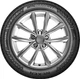 Шина Nexen Winguard Ice 3 215/60R16 99T XL (18975) - изображение 2