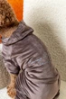 Костюм велюровый Кураж тауп Dogs Bomba D-242/7 - изображение 2