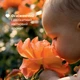 Одеколон детский освежающий Chicco Baby Moments, 100 мл (10599.00) - изображение 3