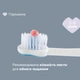 Зубна щітка Chicco на присосці, 3-6 років, колір блакитний (12083.11) - зображення 5