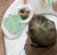 Розвиваючий килимок Ingenuity "Sit Up & Prop. Cozy Prop" (12629) - зображення 10
