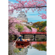 Пазл Clementoni: High Quality Collection — Himeji Castle in Spring / Замок Хімедзі навесні (1000 елементів) — 39982 - зображення 2