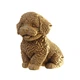 3D пазл Cartonic Maltipoo (CARTMALTIPOO) - изображение 4