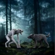 Перевертень проти Анімагу Schleich 14906 - изображение 3