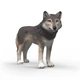 Американський вовк Schleich 14991 - изображение 1