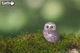 Збірна 3D модель Сова - изображение 6