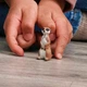 Сурікат Schleich 14935 - изображение 4
