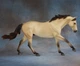 Cash traditional Американський квортерхорс limited edition Breyer 10525 - изображение 3