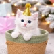 Колпак с помпоном для животных Желтый 8,9 х 7,6 см Podarkus DK034-Y - изображение 1
