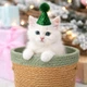 Колпак с помпоном для животных Зеленый 8,9 х 7,6 см Podarkus DK034-G - изображение 1