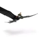 Игрушка на дистанционном управлении Dragons Как приручить дракона Беззубок (SM66658/6074369) - изображение 4