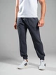 Джоггеры мужские спортивные штаны трикотажные Teamv Jogger Petlia Графит 3XL - изображение 1