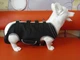 Шлея для поддержки собак Wan Talk Full Body Dog Lift, Medium - изображение 9