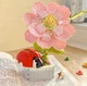 Інтер'єрний конструктор Poppy&Ladybug серія Серія Bonsai Сонечко 201 деталь - зображення 1