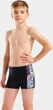 Плавки для мальчиков Arena LIT LOGO SWIM SHORT черный 128 см (010692-550) - изображение 1