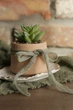 Декоративна стрічка з жатого шовку VTILENE, Sage green, 1.5 см, 3 м - зображення 1