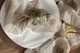 Салфетка с плотной марли для декора стола VTILENE, Chalk beige, 35х35 см - изображение 3
