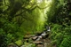 Фотообои флизелиновые Print-walls Водопад спокойствия 0473 100×100 см (Ш×В) - изображение 2