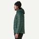 Чоловіча куртка Patagonia Down Sweater Hoody Cascade Green (M) 84702-CASG - зображення 5