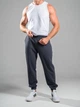 Джоггеры мужские спортивные штаны трикотажные Teamv Jogger Petlia Графит M - изображение 1