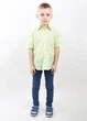 Сорочка для хлопчика MTP 134 см Салатовий (PVM-2829-Light-green) - зображення 1