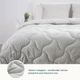 Ковдра ТЕП. Velour світло-сіре зимове-180х210 - зображення 2