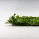 Искусственный фитомодуль Гортензия, 60*41 см СПАСЕННАЯ ПОЗИЦИЯ - изображение 4