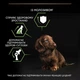 Сухой полнорационный корм Purina Pro Plan Small & Mini Puppy Healthy Start для щенков мелких пород с курицей 700 г - изображение 6
