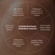 Комплекс для зменшення набряків та відновлення мікроциркуляції шкіри Hillary протинабряковий засіб для чутливої шкіри зволожуючий комплекс (652950) - зображення 11