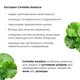 Набор для ухода за чувствительной кожей Hillary Centella Soothing Recovery Set с центеллой для восстановления кожи и успокоения кожи. (652814) - изображение 12