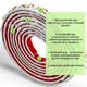 Молдинг Sticker Wall белый с золотом 4950х20х7 мм (SW-00002678) - изображение 3