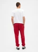 Спортивные штаны утепленные мужские GAP 848085159 M Красные (1159856833) - изображение 4