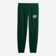 Спортивные штаны утепленные мужские GAP 109401702 XL Зеленые (1159856720) - изображение 5