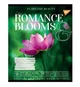 Зошити кольорові шкільні 18 аркушів лінія YES Romance blooms - зображення 3