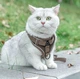Шлейка для котів з повідцем Pet Style S - Brown - зображення 4