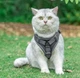 Шлейка для котів з повідцем Pet Style М - Gray - зображення 2