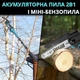 Акумуляторна пилка 6 дюймів з маслом 2АКБ 24V висоторіз подовжувач 2м - зображення 7