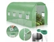 Садовая теплица,парник 10м2 2,5x4x2м Ekspand TFO19-2,5X4X2-2-Z с двумя входами, труба 19мм аромированная пленка,зеленая - изображение 1