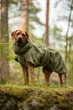 Толстовка для собак на Seawool-підкладці PAIKKA Sherpa Shirt Olive 30 - зображення 7