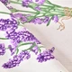Водоотталкивающая скатерть Лаванда, 140х170 см, эффект тефлона, антипятно - изображение 4