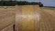 Сельскохозяйственная сетка для тюков Bradas BALER NET PLUS, 1,25x2000 м (AK-BNP125X2000) - изображение 5