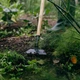 Мотыга голландская Fiskars Solid с деревянной ручкой 150 мм (1011615) - изображение 3