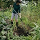 Мотыга-разрыхлитель от сорняков S-ручка Fiskars Ergonomic (1077110) - изображение 5