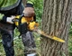 Пилка цепная аккумуляторная DeWALT DCMCS574X1 - изображение 7