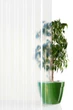 Рулонный шифер Elyplast усиленный, 2x10м прозрачный, волна - изображение 4