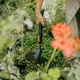 Совок посадковий Fiskars OneClick + ручка S (1080722) - зображення 2