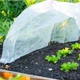 Агроволокно Greentex R30 защита от заморозков и солнца 3,2х100 м Белое - изображение 2