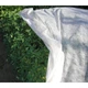 Агроволокно белое Greentex R50 3,2х15 м защита от заморозков и солнца - изображение 15