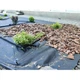 Агроволокно усиленное Greentex R100 3,2×10 м мульчировочное под брусчатку и камень Черное - изображение 8
